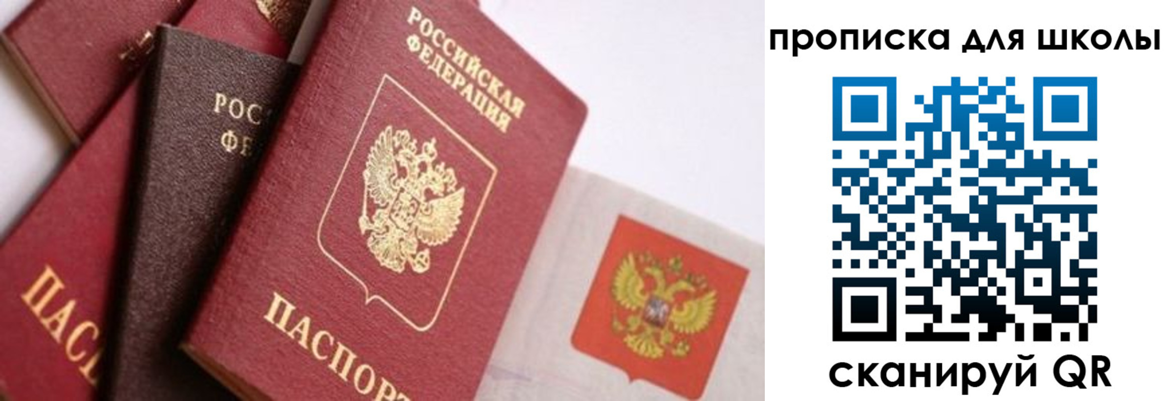 прописка поиск в Ростове